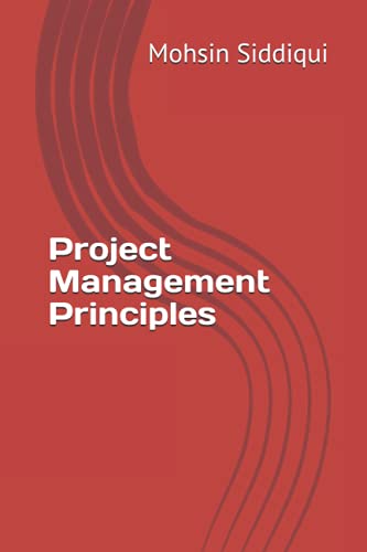 Beispielbild fr Project Management Principles zum Verkauf von Ria Christie Collections