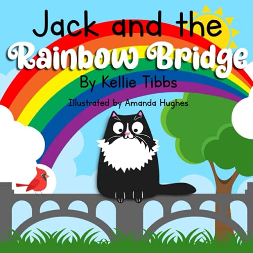 Beispielbild fr Jack and the Rainbow Bridge zum Verkauf von PBShop.store US