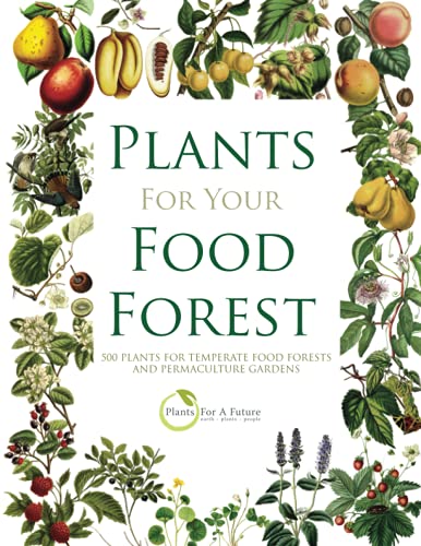 Beispielbild fr Plants For Your Food Forest zum Verkauf von GreatBookPrices