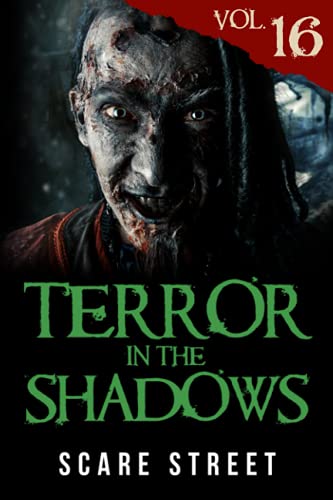 Stock image for Terror in the Shadows Vol. 16: Horror Short Stories Collection with Scary Ghosts, Paranormal & Supernatural Monsters for sale by ALLBOOKS1