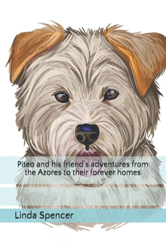 Stock image for Piteo and his friend's adventures from the Azores to their forever homes for sale by Ria Christie Collections
