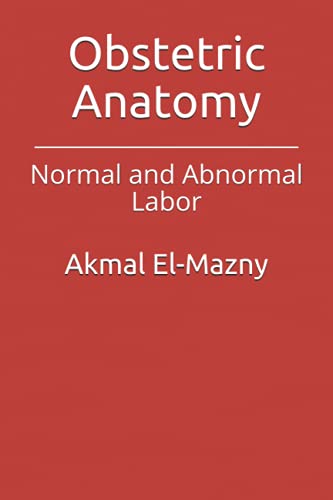 Imagen de archivo de Obstetric Anatomy: Normal and Abnormal Labor a la venta por Ria Christie Collections