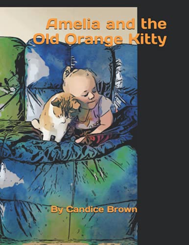 Stock image for Amelia and the Old Orange Kitty for sale by Ria Christie Collections