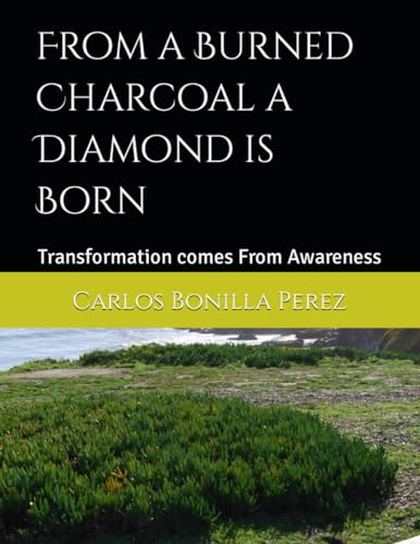 Stock image for From a Burned Charcoal a Diamond is Born: Transformation comes From Awareness for sale by Ria Christie Collections