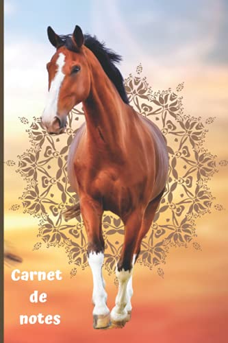 Immagine dell'editore per Carnet de notes Cheval attrape rve: Cahier de notes avec couverture design attrape rve - bloc notes - cahier scolaire - journal venduto da medimops