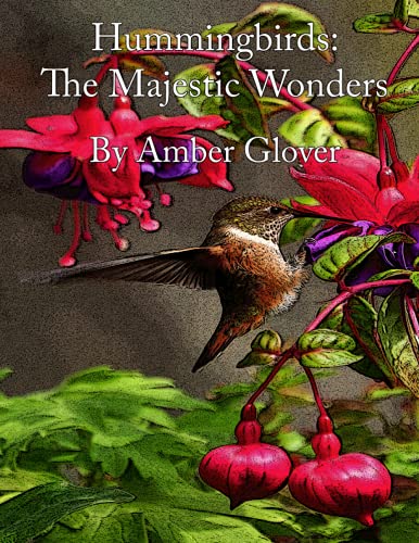 Stock image for Hummingbird; The Majestic Wonders (Nature Adventures) for sale by Chiron Media