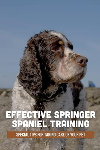 Imagen de archivo de Effective Springer Spaniel Training: Special Tips For Taking Care Of Your Pet: English Springer Spaniel Training a la venta por GreatBookPrices