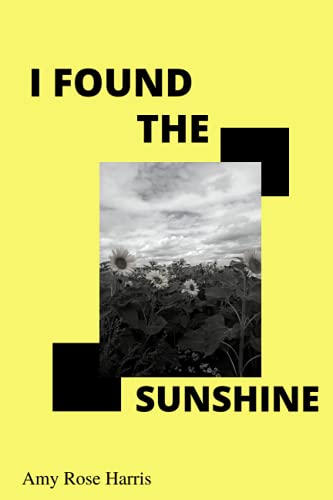 Stock image for I Found The Sunshine for sale by PBShop.store US