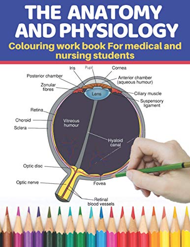 Stock image for The Anatomy and Physiology colouring work book for medical and nursing students: The ultimate self test guide to learning the human anatomy and . even kids (Anatomy colouring book, Band 1) for sale by Buchpark