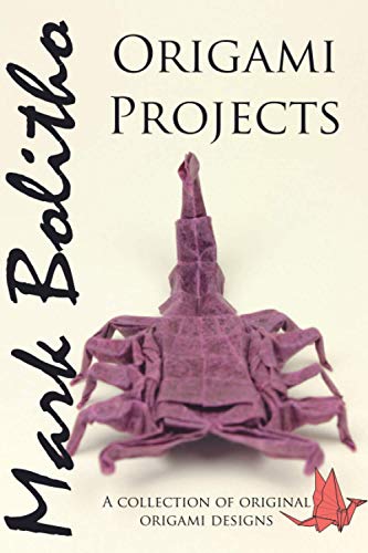9798557129701: Origami Projects: A collection of original origami designs