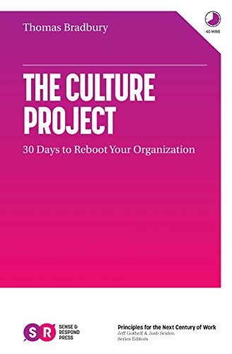 Beispielbild fr The Culture Project: 30 Days to Reboot Your Organization zum Verkauf von medimops