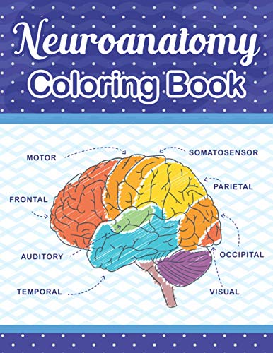 Neuroanatomy: Draw It to Know It: 9780190259587: Medicine & Health Science  Books @