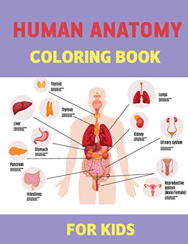 Human Body Coloring Book for Kids Ages 4-8: Human Anatomy Coloring Book,  Great Gift for Boys & Girls, Ages 4, 5, 6, 7, and 8 Years Old, Human Body  kids by Flashing Happy Coloring