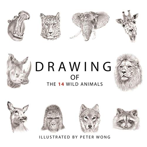 Stock image for Drawing of the 14 Wild Animals for sale by GreatBookPricesUK