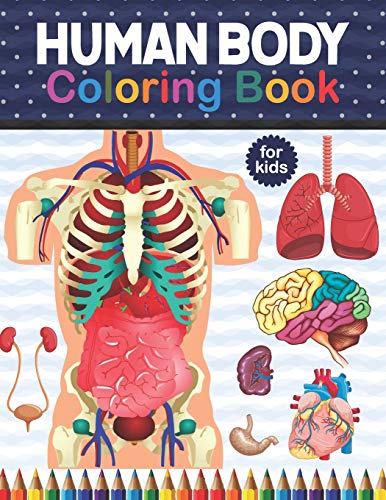 Beispielbild fr Human Body Coloring Book For Kids: My First Human Body Parts And Human Anatomy Coloring Book For Kids. Great Gift For Boys & Girls, Ages 4, 5, 6, 7, . Anatomy Coloring Book (Kids Activity Books) zum Verkauf von Buchpark