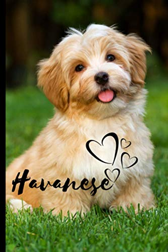 Stock image for Havanese Dog Notebook For Dog Lovers: Composition Notebook 6x9 Blank Lined Journal for sale by Big River Books