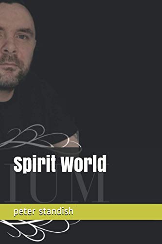 Imagen de archivo de Spirit World a la venta por ALLBOOKS1