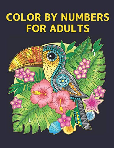 Stock image for Color By Numbers For Adults for sale by GreatBookPrices