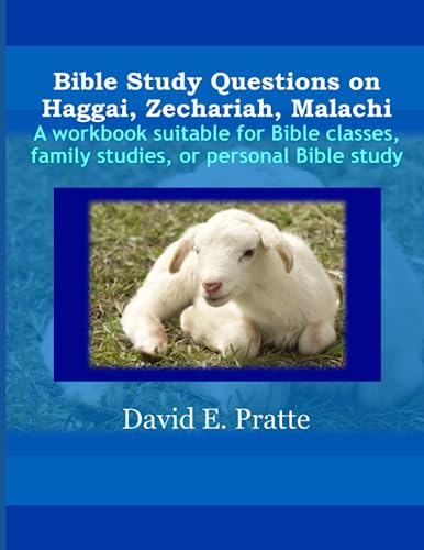 Stock image for Bible Study Questions On Haggai, Zechariah, Malachi for sale by GreatBookPrices