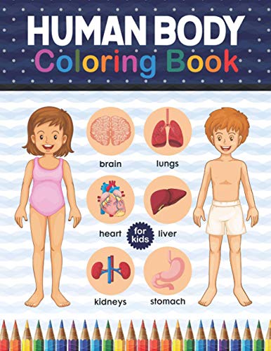 Imagen de archivo de Human Body Coloring Book For Kids Human Body Anatomy Coloring Book For Kids, Boys and Girls and Medical Students Great Gift For Boys Girls, Ages Bones, Skeleton Student Anatomy Book a la venta por PBShop.store US