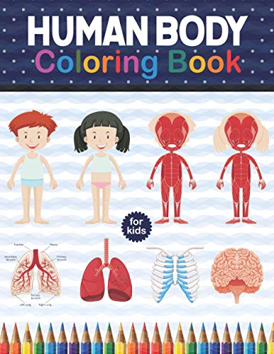 Imagen de archivo de Human Body Coloring Book For Kids Human Body Anatomy Coloring Book For Kids, Boys and Girls and Medical Students Physiology Muscles, Bones, Skeleton Book For Medical High School Students a la venta por PBShop.store US