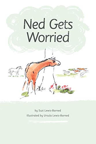 9798574996188: Ned Gets Worried