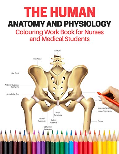 Stock image for The Human Anatomy and Physiology Colouring Work Book For Nurses and Medical Students: A Complete Self-test complete Guide to Learning Anatomy and . even Adults, kids, paramedics and midwives for sale by Brit Books