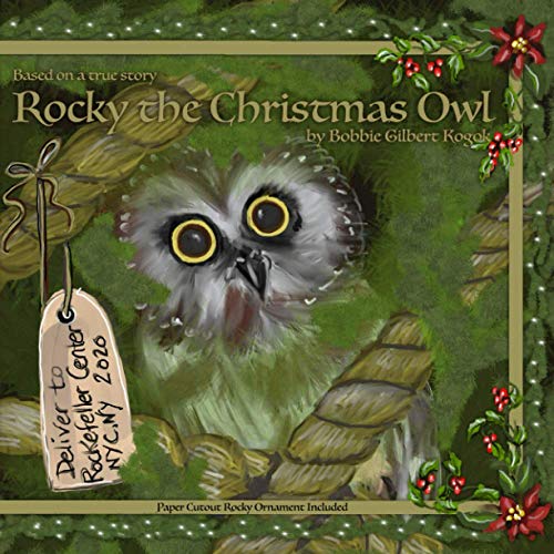 9798578013102: Rocky The Christmas Owl
