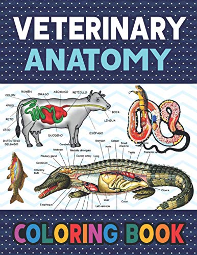 9798582704294: Veterinary Anatomy Coloring Book: Fun and Easy Veterinary Anatomy Coloring Book for Kids. Handbook of Veterinary Anesthesia. Dog Cat Horse Frog Bird ... books. Handbook of Veterinary Anesthesia.