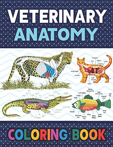 9798582706823: Veterinary Anatomy Coloring Book: Fun and Easy Veterinary Anatomy Coloring Book for Kids. The New Surprising Magnificent Learning Structure For ... book. Vet tech & Zoology Coloring Books.