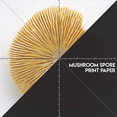 9798586370051: Mushroom Spore Print Paper: A Mushroom Spore Book to Make Your Own Spore Prints