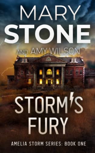 Stock image for Storms Fury (Amelia Storm FBI Mystery Series) for sale by Red's Corner LLC