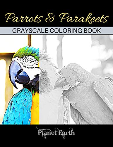 Stock image for Parrots & Parakeets Grayscale Coloring Book: Adult Coloring Book with Beautiful Parrot Images. for sale by California Books