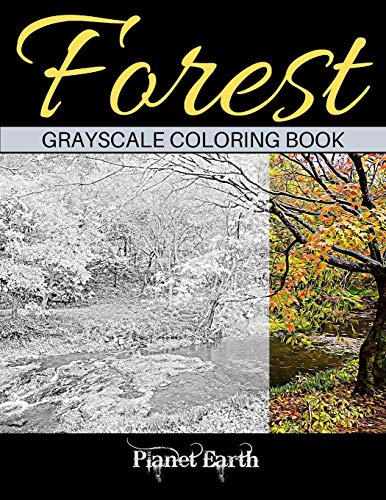 Stock image for Forest Grayscale Coloring Book: Adult Coloring Book. Beautiful Images of the Forest. for sale by California Books