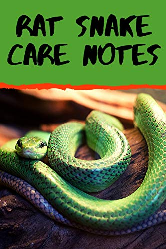 9798605758716: Rat Snake Care Notes: Customized Easy to Use, Daily Pet Snake Accessories Care Log Book to Look After All Your Pet Snake's Needs. Great For Recording ... Tank Temperature, and Equipment Maintenance.