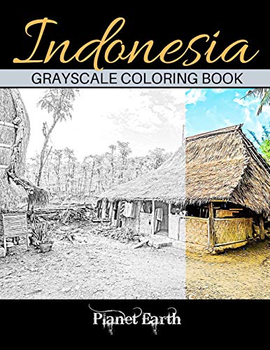 Stock image for Indonesia Grayscale Coloring Book: Grayscale Coloring Book for Adults with Beautiful Images of Indonesia. for sale by California Books