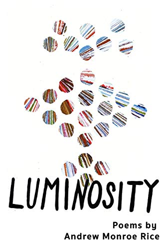 Stock image for Luminosity: 28 Spiritual Poems, Ruminations & Deathbed Stories for sale by HPB-Emerald