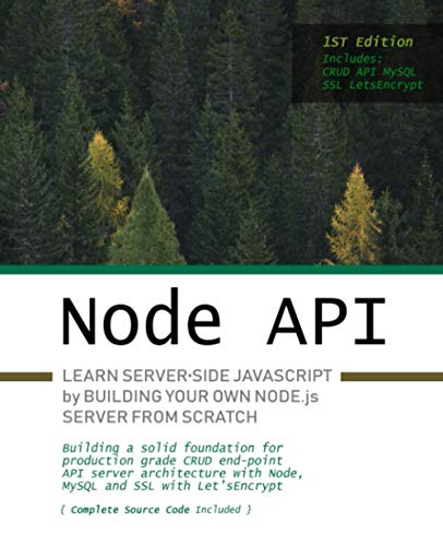 9798612529583: Node.js API: Learn server-side JavaScript by building your own Node.js server from scratch
