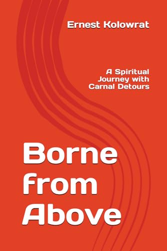 9798613929900: Borne from Above: A Spiritual Journey with Carnal Detours