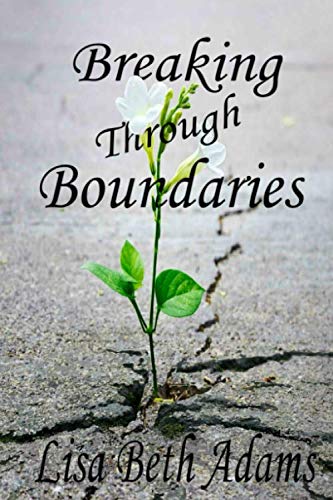 Stock image for Breaking Through Boundaries for sale by Better World Books