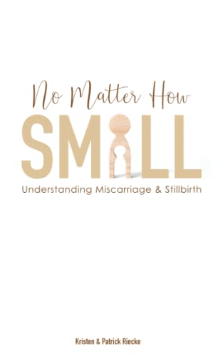 Stock image for No Matter How Small: Understanding Miscarriage and Stillbirth (Resources on Faith, Sickness, Grief and Doubt) for sale by HPB-Diamond