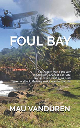 Stock image for Foul Bay: You expect that a job with USAID was innocent and safe. Not so while illicit arms deals were in effect. Manning was a man on the run. for sale by Ria Christie Collections