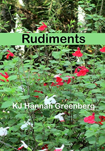 Stock image for Rudiments for sale by GreatBookPrices