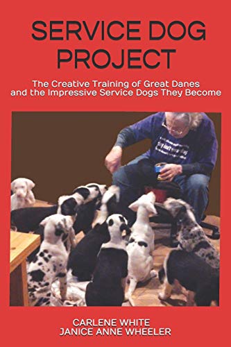 Beispielbild fr Service Dog Project: The Creative Training of Great Danes and the Impressive Service Dogs They Become zum Verkauf von GreatBookPrices