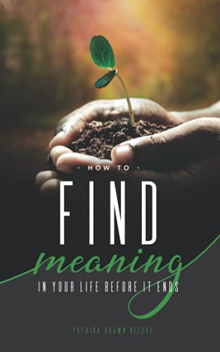 Stock image for How to Find Meaning in Your Life Before It Ends for sale by Better World Books