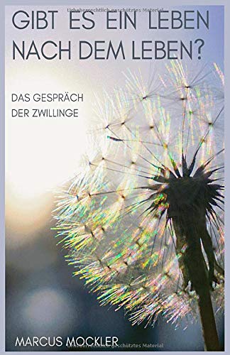 Beispielbild fr Gibt es ein Leben nach dem Leben?: Das Gesprch der Zwillinge zum Verkauf von medimops