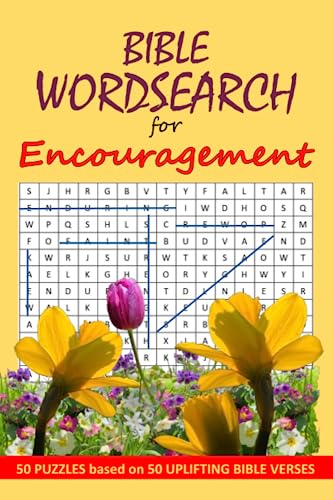 9798635334270: Wordsearch: Bible Wordsearch for Encouragement