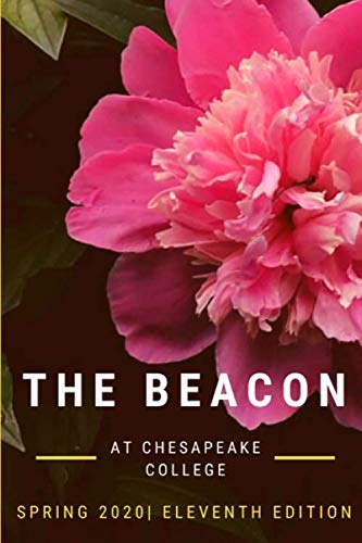 9798635703779: The Beacon 2020: 11th Edition