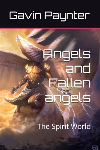 Stock image for Angels and Fallen angels: The Spirit World for sale by Ria Christie Collections