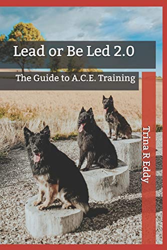 Imagen de archivo de Lead or Be Led 2.0: The Guide to A.C.E. Training a la venta por Half Price Books Inc.